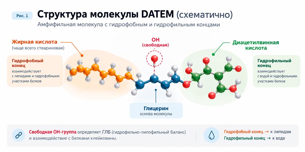 Структура молекулы DATEM