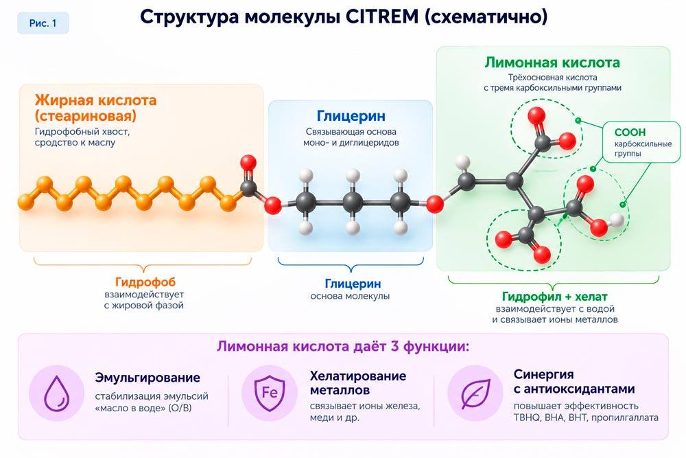 Структура молекулы CITREM